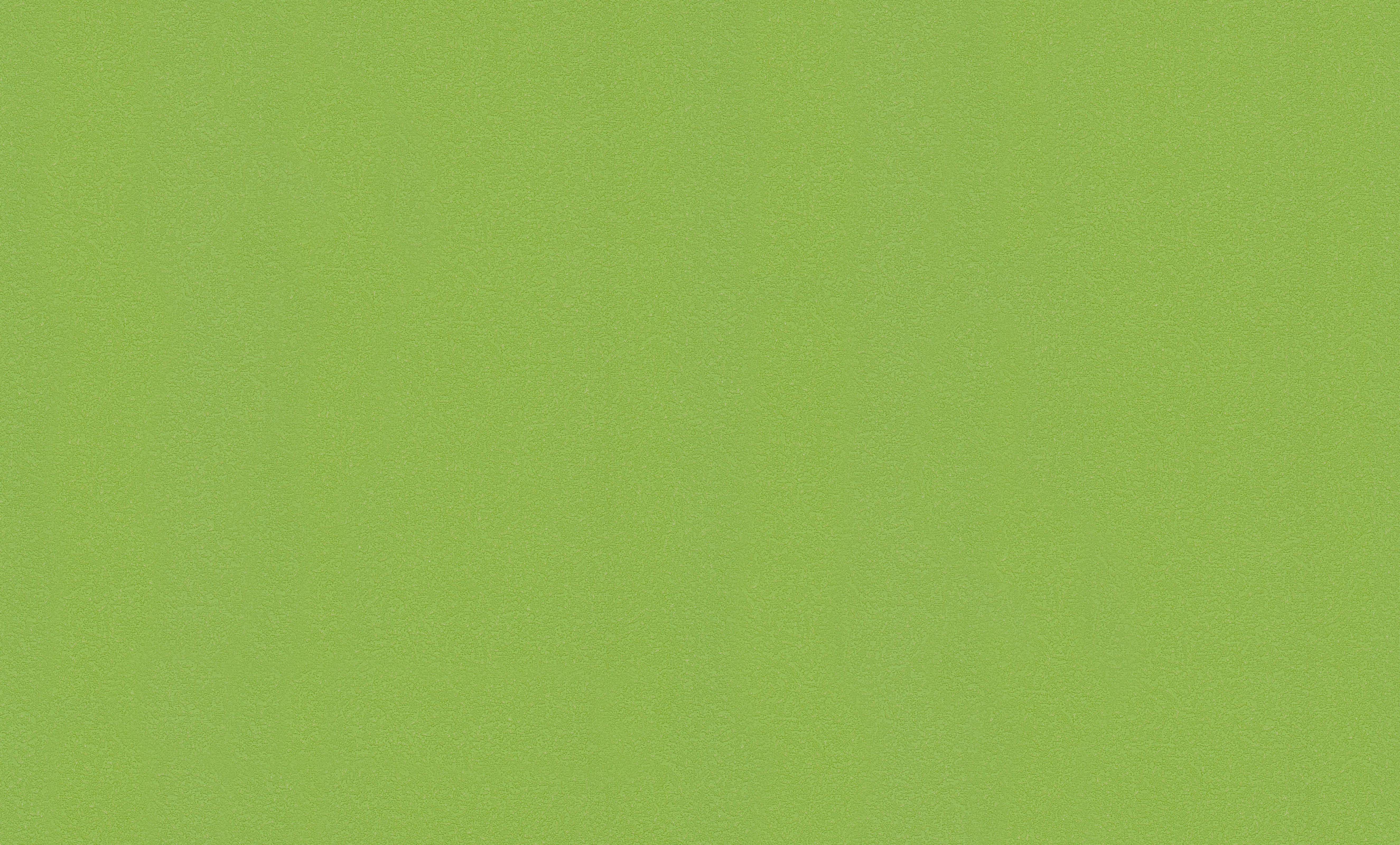 Спокойный зеленый цвет. Однотонные цвета. Зеленый цвет однотонный. Светло зеленая текстура. Зеленый цвет фон.